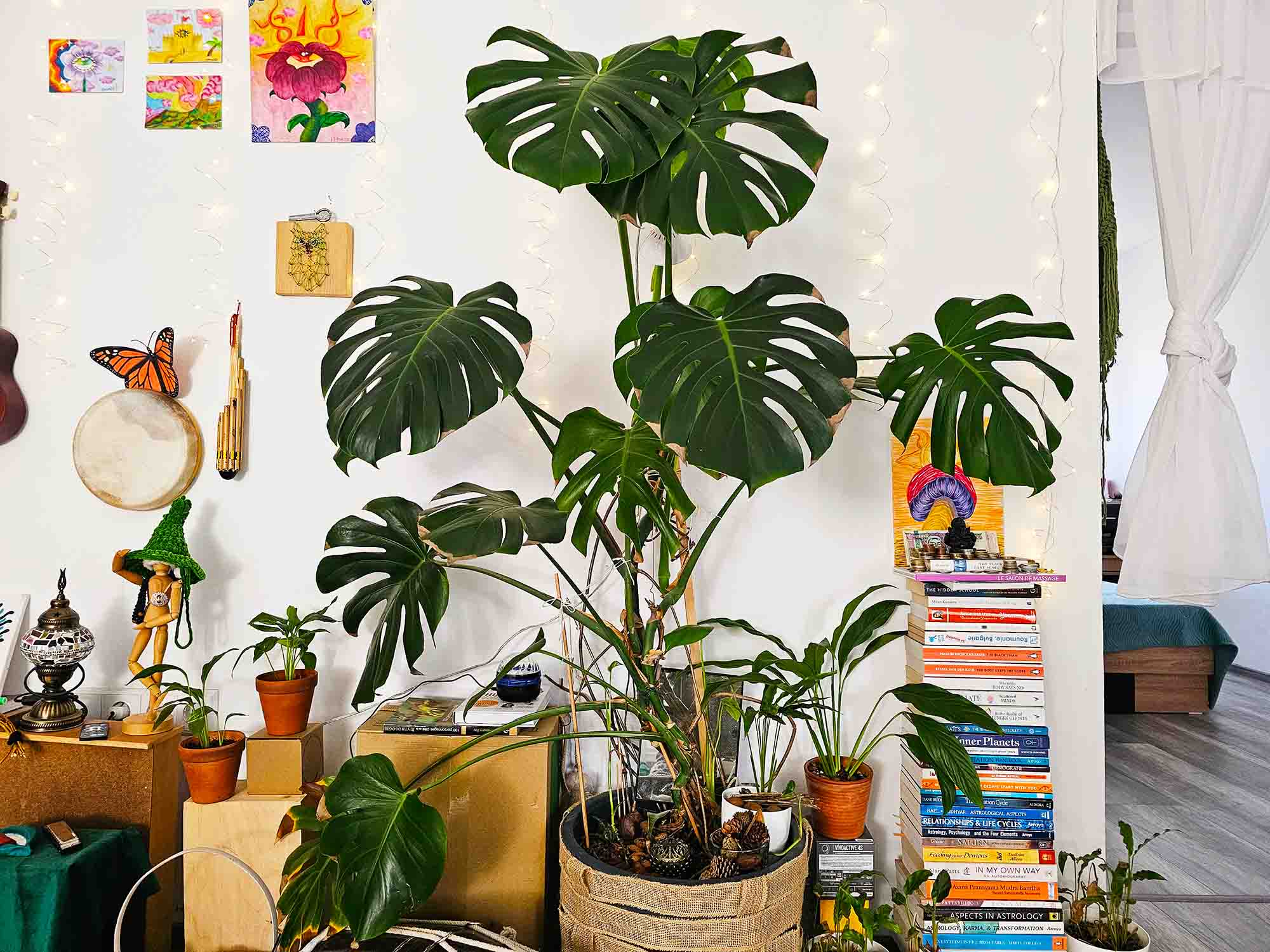 Amigas silenciosas: Lo que las plantas nos enseñan.